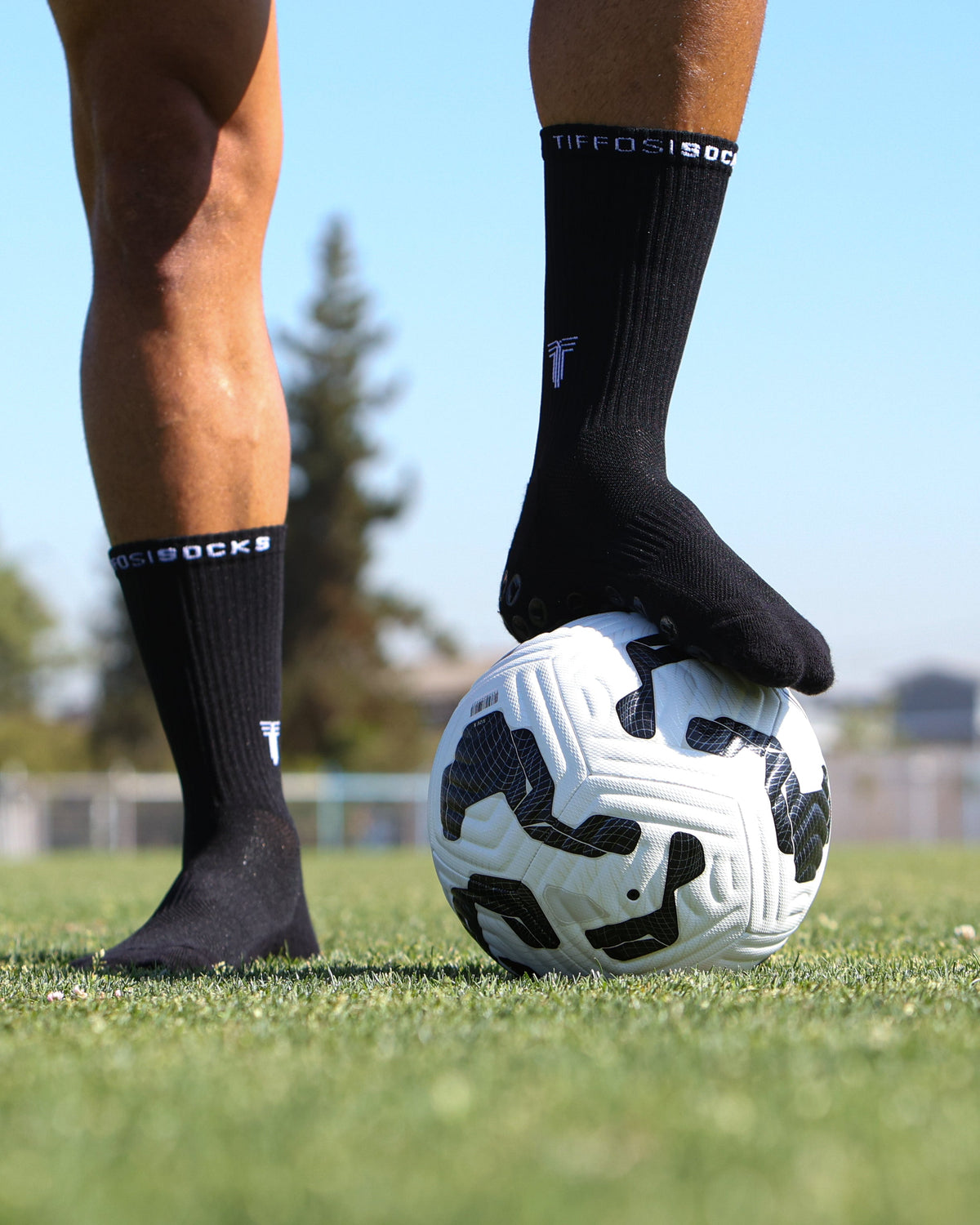 TIFFOSI SOCKS